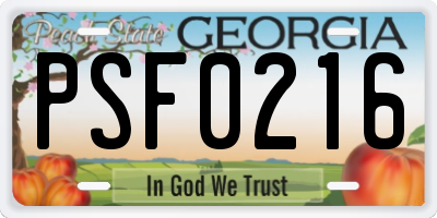 GA license plate PSF0216