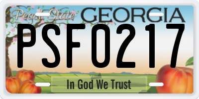GA license plate PSF0217
