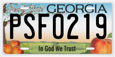 GA license plate PSF0219