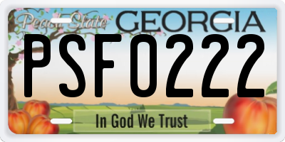 GA license plate PSF0222
