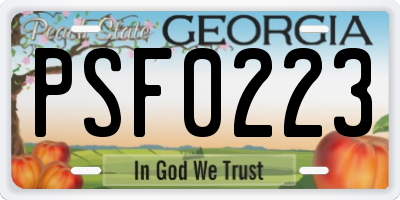 GA license plate PSF0223