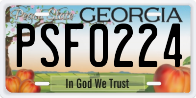 GA license plate PSF0224