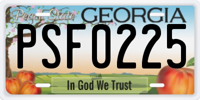 GA license plate PSF0225
