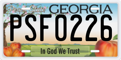 GA license plate PSF0226