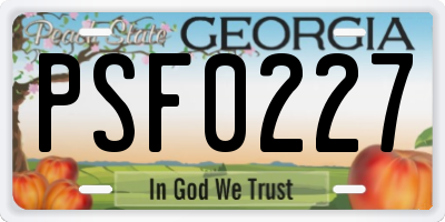 GA license plate PSF0227