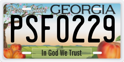 GA license plate PSF0229