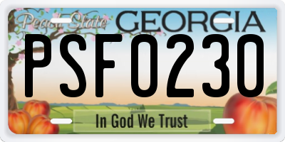 GA license plate PSF0230