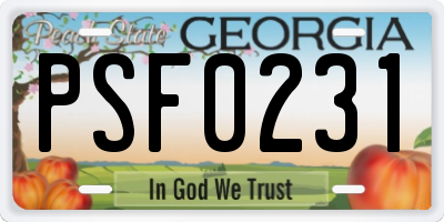 GA license plate PSF0231
