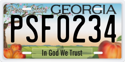 GA license plate PSF0234