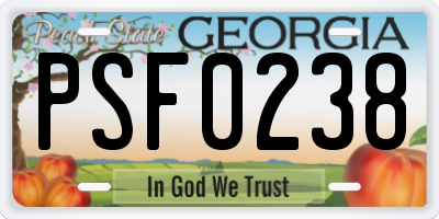 GA license plate PSF0238