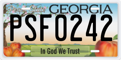 GA license plate PSF0242