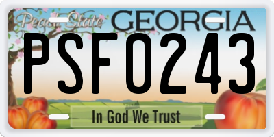 GA license plate PSF0243