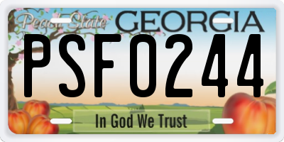 GA license plate PSF0244