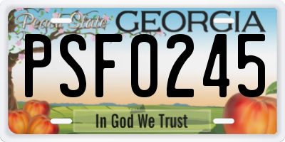 GA license plate PSF0245