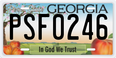 GA license plate PSF0246