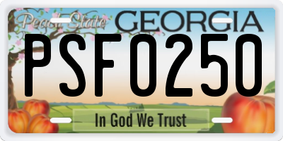 GA license plate PSF0250