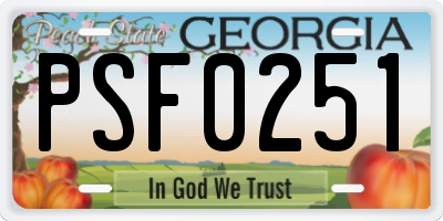 GA license plate PSF0251