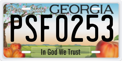 GA license plate PSF0253