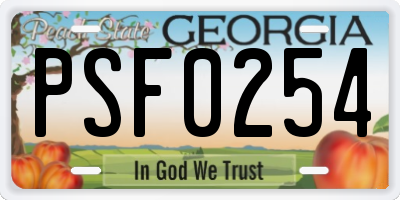 GA license plate PSF0254