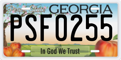 GA license plate PSF0255