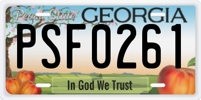 GA license plate PSF0261