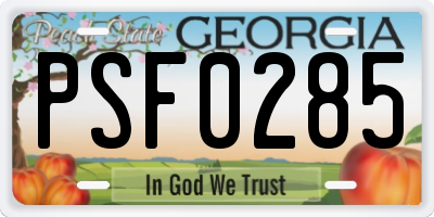 GA license plate PSF0285