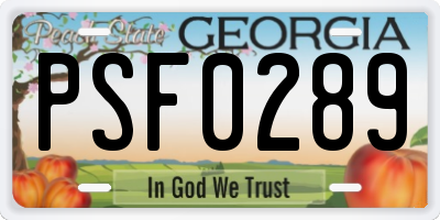 GA license plate PSF0289