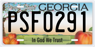 GA license plate PSF0291