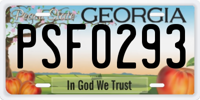 GA license plate PSF0293