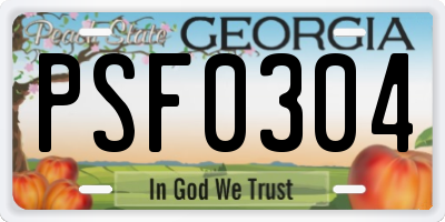 GA license plate PSF0304