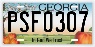 GA license plate PSF0307