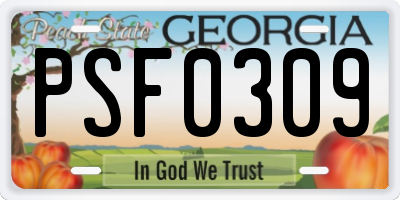 GA license plate PSF0309