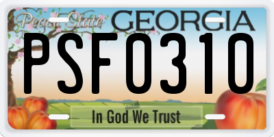 GA license plate PSF0310