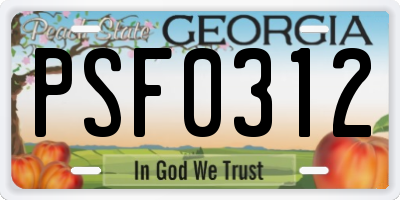 GA license plate PSF0312