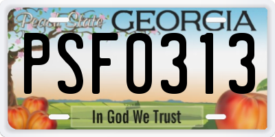 GA license plate PSF0313