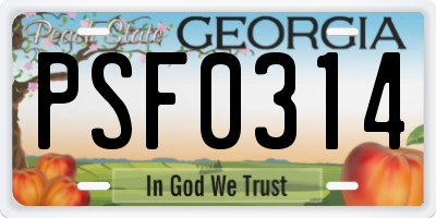 GA license plate PSF0314