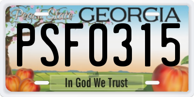 GA license plate PSF0315