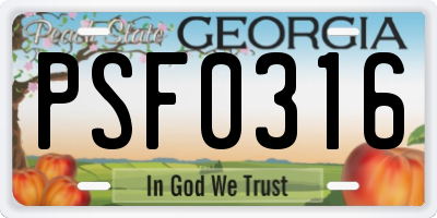 GA license plate PSF0316