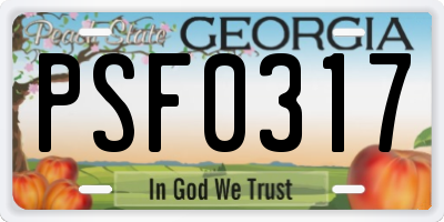 GA license plate PSF0317
