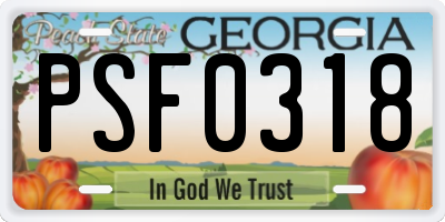 GA license plate PSF0318