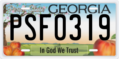GA license plate PSF0319