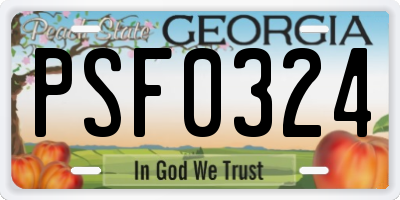 GA license plate PSF0324