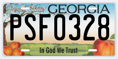 GA license plate PSF0328