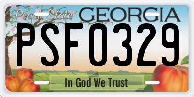 GA license plate PSF0329