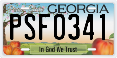 GA license plate PSF0341