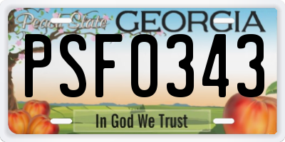 GA license plate PSF0343