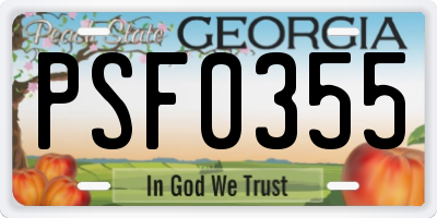 GA license plate PSF0355