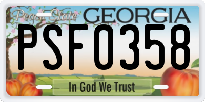 GA license plate PSF0358