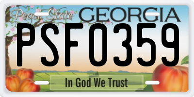 GA license plate PSF0359