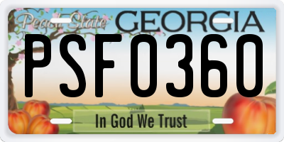 GA license plate PSF0360